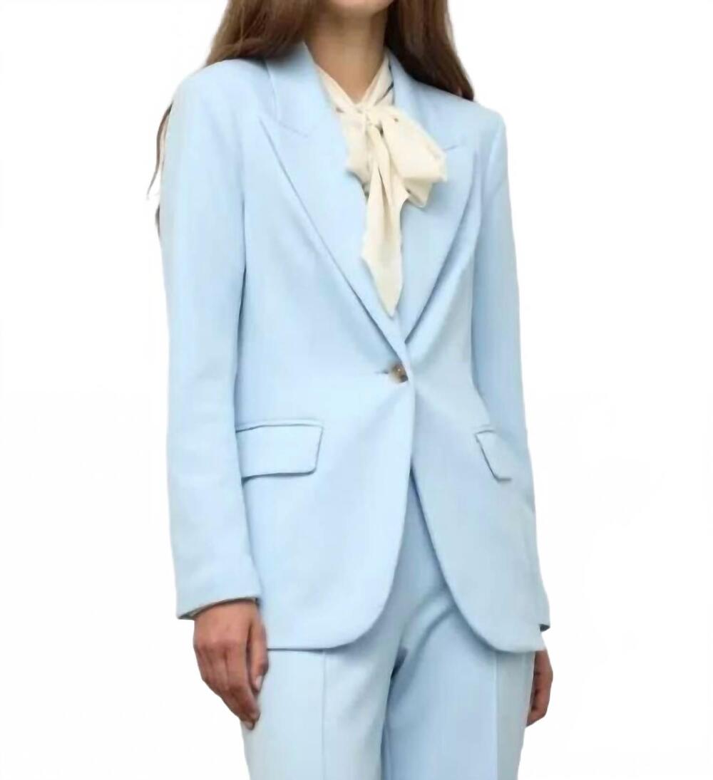 NEW IRIS SETLAKWE single breasted blazer in sky blue